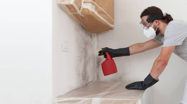 Professional Bathroom Mold Removal technician working in Oxford, GA
